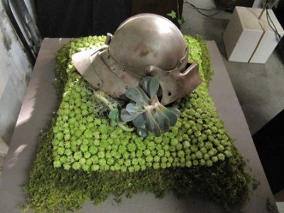 Ritterhelm auf Blumen.jpg