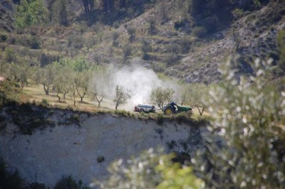 Fumigando.JPG