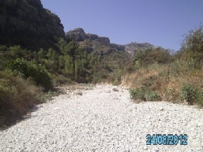 PICT0752.JPG