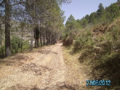 PICT0632.JPG