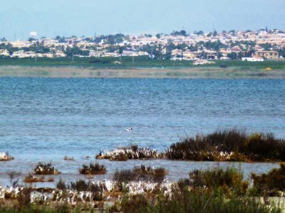 Lagunas de la Mata (Foto: Polarstern)