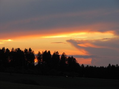 Schwabenland 1.jpg