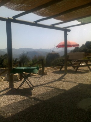240820123048venta-collao.jpg