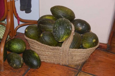 Melonen stilvoll dekoriert