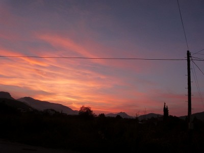 P1090013.JPG