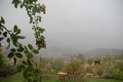 rEGEN.JPG (46.04 KiB) 2015 mal betrachtet Blick aus dem Fenster