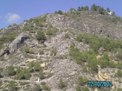 PICT1375.JPG