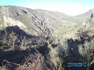PICT1431.JPG