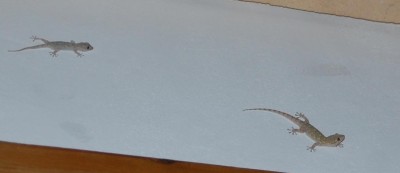 Die angeforderte Verstärkung kommt