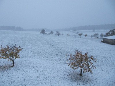 Erster Schnee 2012.jpg
