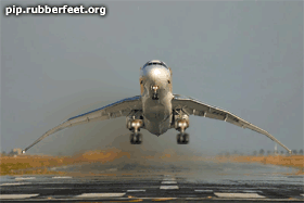 o39227d1u68.gif