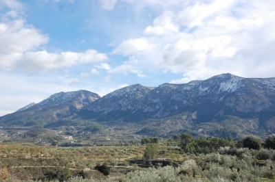 Die Serrella (1359 m), die Hiedra, der Llano de la Casa (1379 m) und die Mallada del Llop (1354 m.) sind die höchsten Erhebungen der Serella-Gebirges.
