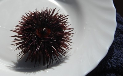 Und wehe, Peter träufelt da Zitrone drüber.... rrrrrh!