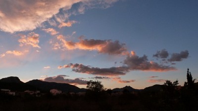 P1130006.JPG