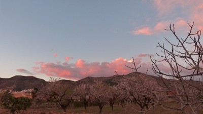 P1130025.JPG