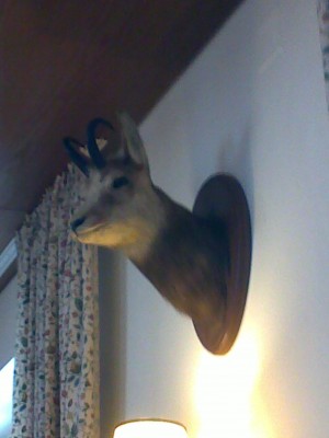 060320133704.jpg