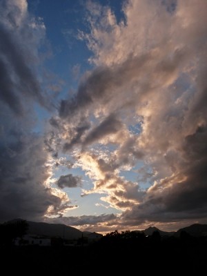 P1130018 (2).JPG