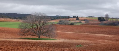 Mancha DSC_0398.JPG