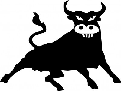 Stier-Gesicht.jpg