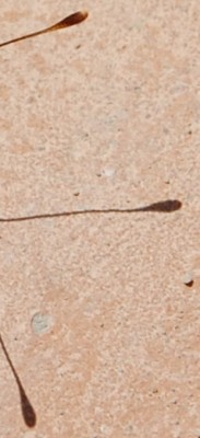 Was ist das?