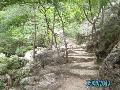 PICT3317.JPG