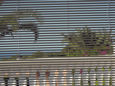 1-DSCN2842.JPG