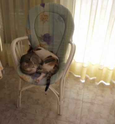 Foto-0004_2.jpg