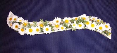 Margeriten.jpg