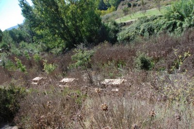 1 eingewachsene Sitzplätzeb DSC_0586.JPG (172.32 KiB) 1646 mal betrachtet überwucherte Sitzplätze