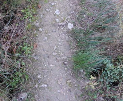 20 Mauerkrone DSC_0668.JPG (115.32 KiB) 1646 mal betrachtet Über eine Mauerkrone, von der man rechts und links durch Ritzen den Abgrund sieht,