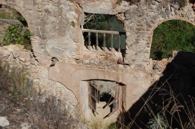 117 Blick ins Grüne DSC_0652.JPG (139.68 KiB) 1646 mal betrachtet Blick durch die alten Hallenfenster ins Grüne