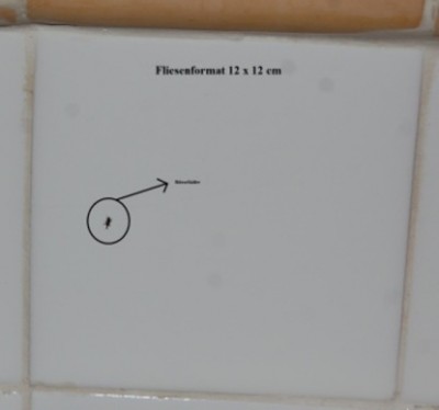 Palme2.JPG (54.37 KiB) 7109 mal betrachtet Größenvergleich