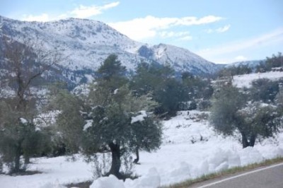 Im Hintergrund die schon abflachenden Hänge der Sierra de Serella