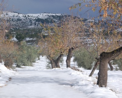 Zufahrt zur Finca