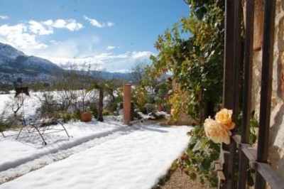 Auf dem Rasen liegt Schnee, am Fenster blühen immer noch Rosen.