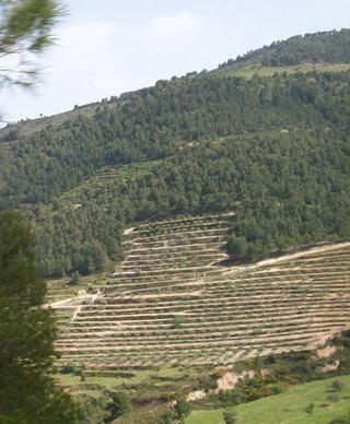 Natursteinterrassen Provinz Alicante