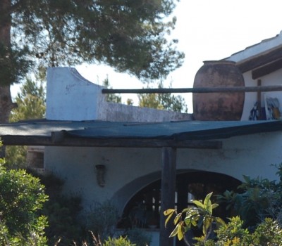 1 Pflanzschale DSC_0450.JPG (205 KiB) 3492 mal betrachtet Kleines Töpfchen auf dem Balkon