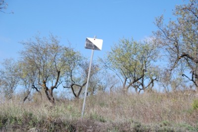 Jagd1.JPG (132.51 KiB) 6496 mal betrachtet Jagdschild