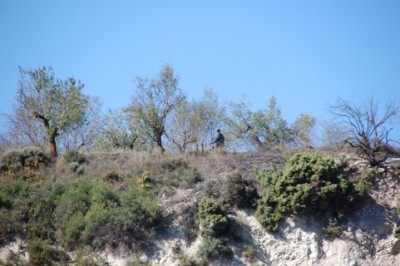 Cazador