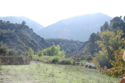 1Von zu Hause aus.JPG (108.38 KiB) 1956 mal betrachtet Von zu Hause aus