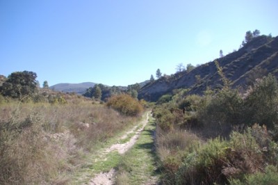 doch auf den gut angelegten Wirtschaftswegen ließ es sich wunderbar wandern.
