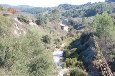 5 vorbei an verlassenen Gehöften.JPG (137.35 KiB) 1956 mal betrachtet Vorbei ging es an verlassenen Gehöften,