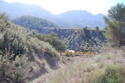 7 vorbei.JPG (119.95 KiB) 1956 mal betrachtet Durch sanfte Hügel ging es vorbei an