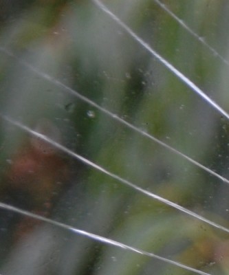 Was ist das 1 DSC_0776.JPG (189.83 KiB) 5007 mal betrachtet Wobei ich fürchte, dass es viel zu leicht für euch ist.