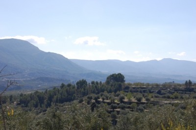 15 die weite des Tals.JPG (119.93 KiB) 1956 mal betrachtet von wo aus wir die Weite des Tals überblicken konnten.