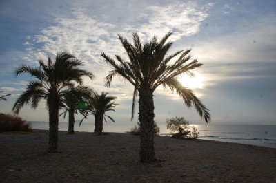Malerische Playa de Torres<br />© Oliva B.