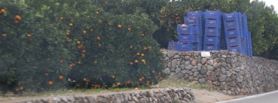 Kisten fertig zum Abtransport.JPG