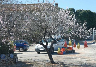 Straßenverkauf in der Marina Alta
