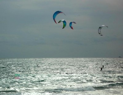 P1000255.JPG