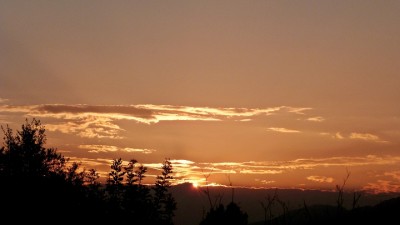 P1260039.JPG